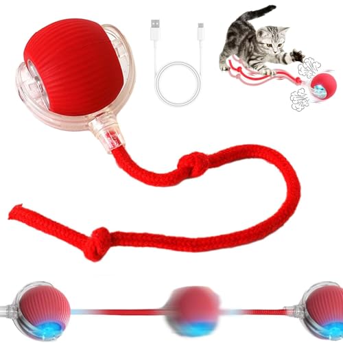 Chewie Rolling Ball Interaktives Katzenball Spielzeug Interaktives Hundespielzeug Ball Interactive Cat Toys Rolling Ball Interaktives Hunde Ball Spielzeug mit USB Aufladbar Hundeball Elektrisch (Rot) von BNOYONERAS