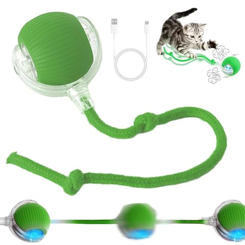 Chewie Rolling Ball Interaktives Katzenball Spielzeug Interaktives Hundespielzeug Ball Interactive Cat Toys Rolling Ball Interaktives Hunde Ball Spielzeug mit USB Aufladbar Hundeball Elektrisch (Grün) von BNOYONERAS