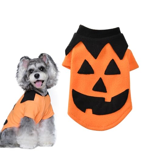 Haustiere Kürbis Kostüm, Halloween Hundemantel, Halloween Hundemantel Haustier Kostüm, Lustiges Haustierkostüm, Halloween Motto Partyzubehör für Kleine Mittel Große Hunde Katze(Kürbis, M) von BNOYONERAS