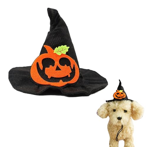 Hund Katze Hexenhut Dekorationen,Hundemütze Im Halloween-Stil,Haustier-Halloween-Hut,Hexenhut Welpe Katze Halloween,Zaubererhut Hunde Katzen Halloween,Halloween Haustierhüte (Stil A) von BNOYONERAS