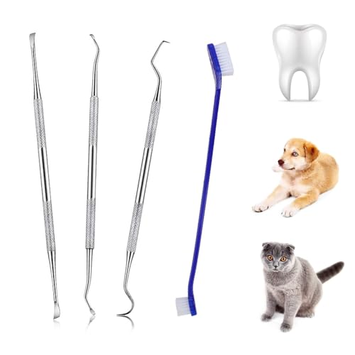 Hunde Scaler Zahnsteinentferner 4PC Hunde Zahnsteinentferner Set Hundezahnreinigungsset Zahnsteinentferner Set für Hunde und Katzen Hundezahnpflege zur Zahnsteinentfernung Zahnreiniger für Tiere von BNOYONERAS