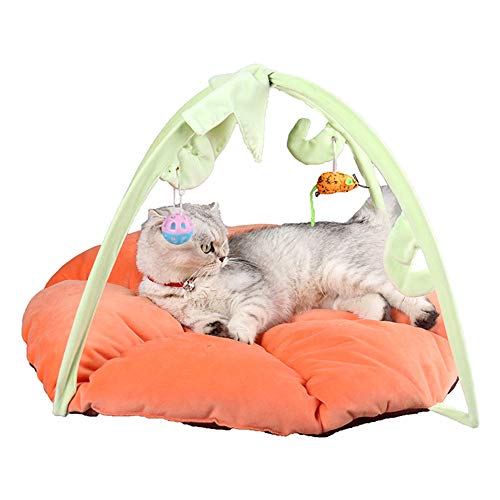 BOENTA Cat Toy Katzenspielzeug Angel Katze Ballspielzeug Katzen Zauberstab Kätzchen-Spielwaren für Innenkatzen Cat Treat Spielzeug orange von BOENTA