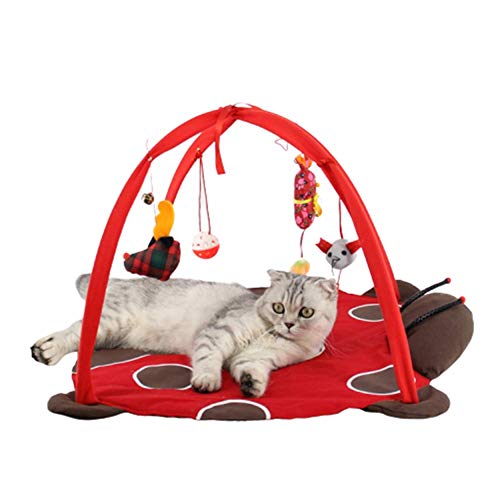 BOENTA Cat Toy Katzenspielzeug Angel Katze Ballspielzeug Katzen Zauberstab Kätzchen-Spielwaren für Innenkatzen Cat Treat Spielzeug red von BOENTA