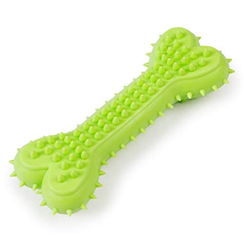 BOENTA Hunde Interaktives Spielzeug Haustier Spielzeug Pet Play Toy Hund interaktives Spielzeug Hundebiss Spielzeug Molares Hundespielzeug Bone-Green von BOENTA