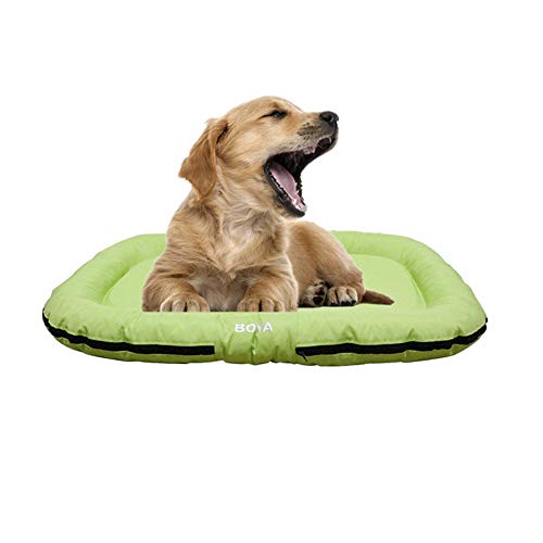 BOENTA Hundedecke Katzendecke Haustier-Auflage Weiches Tierarztbett Weiche Katze Mat Hundebett Flauschige Katze Mat Waschbares Hundebett Haustierbett Green von BOENTA