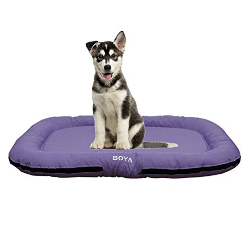 BOENTA Hundedecke Katzendecke Haustier-Auflage Weiches Tierarztbett Weiche Katze Mat Hundebett Flauschige Katze Mat Waschbares Hundebett Haustierbett Purple von BOENTA