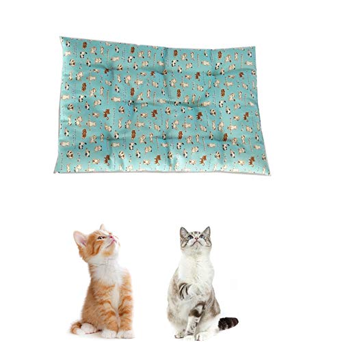 BOENTA Hundedecken Waschbar Katzendecke Flauschige Katze Mat Waschbares Hundebett Hundebett klein Hundekiste Bett Haustier-Auflage Haustierbett blue1,m von BOENTA