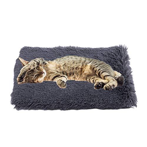 BOENTA Hundedecken Waschbar Katzendecke Haustierdecke Flauschige Katze Mat Hundedecken waschbar Hundebett Zubehör Hundekiste Bett Hundebettwäsche Dark Gray,XL von BOENTA