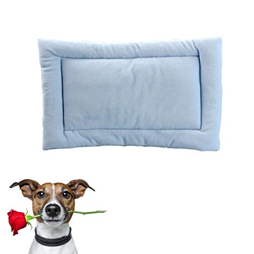 BOENTA Hundedecken Waschbar Kuscheldecke Hund Haustier-Auflage Hundekiste Bett Hundebettwäsche Hundebett klein Hundekomfortbett Hundebett Zubehör Blue,m von BOENTA