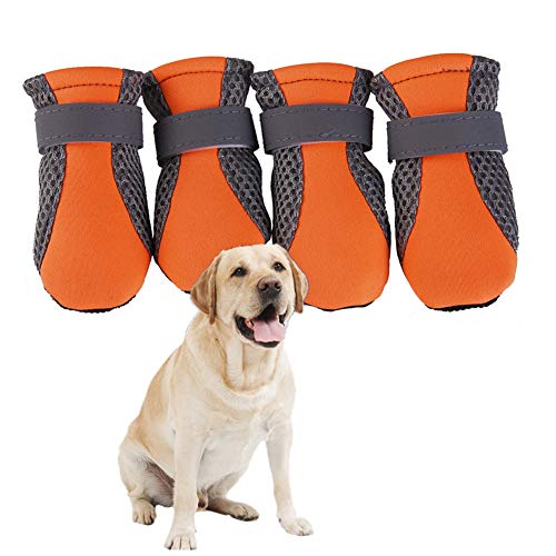 BOENTA Hundeschuhe Pfotenschutz Hund Hitze Hundeschuhe Sommer Haustierstiefel Hundeschuhe rutschfest rutschfeste Hundesocken Hundeschuhe Hundesocken orange,m von BOENTA