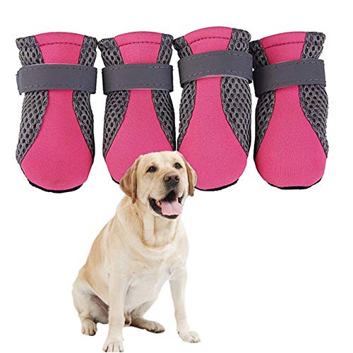 BOENTA Hundeschuhe Pfotenschutz Hund Hitze Hundeschuhe Sommer Haustierstiefel Hundeschuhe rutschfest rutschfeste Hundesocken Hundeschuhe Hundesocken pink,l von BOENTA