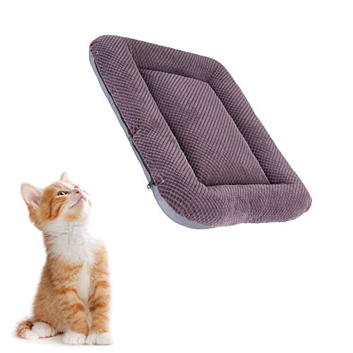 BOENTA Katzendecke Hundedecken Waschbar Waschbares Hundebett Welpenbett Weiches Tierarztbett Kätzchenbett Hundebett klein Flauschige Katze Mat Katzenbetten Purple,XL von BOENTA