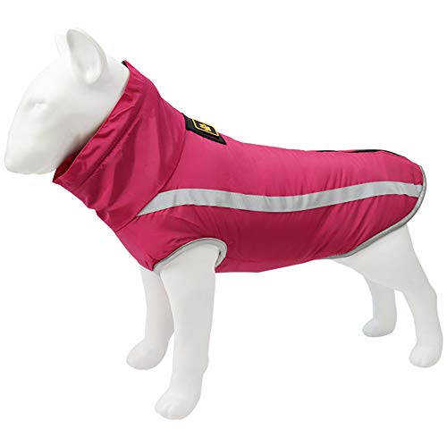 BOENTA Katzenkleid Haustierkleid Hundekleidung Bling Hundekleid Rock für kleinen Hund Prinzessin Hundekleid Hundekleidung für kleine Hunde 3XL,Rose red von BOENTA