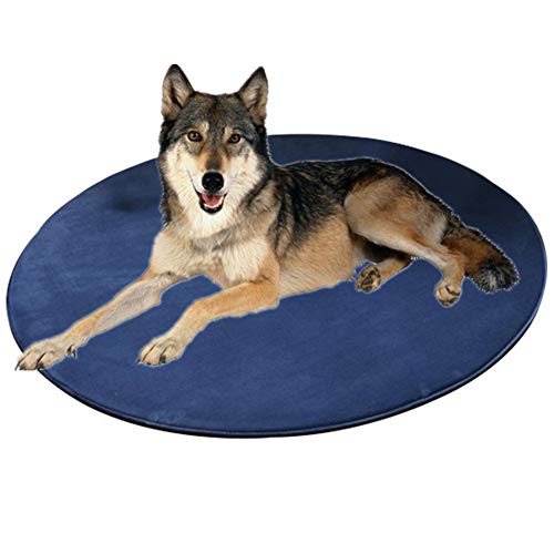 BOENTA Kühlmatte Hunde Kühldecke Für Hunde Pet Cooling Mat Kühlkissen für Hunde Hundeauflagen-Training Katze Mat Coole Hundematte Haustier Mat Hund Cool Mat Blue,l von BOENTA