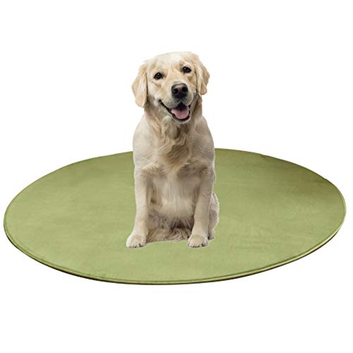 BOENTA Kühlmatte Hunde Kühldecke Für Hunde Pet Cooling Mat Kühlkissen für Hunde Hundeauflagen-Training Katze Mat Coole Hundematte Haustier Mat Hund Cool Mat Green,l von BOENTA