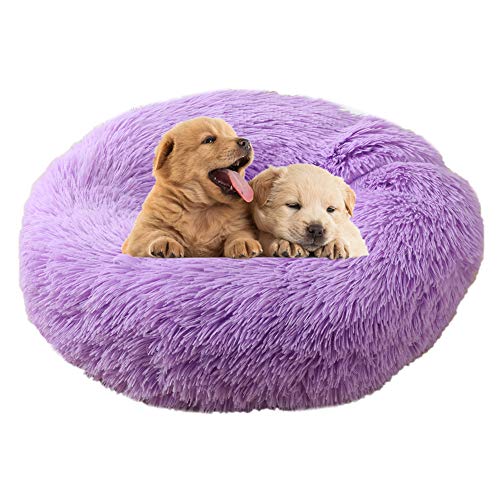 BOENTA hundebetten für mittlere Hunde hundebett kleine Hunde Katzen Donut Bett Warmes Hundebett Hund Schlafsofa Haustierbetten Für Hunde Plüsch Hundebett Purple,40cm/15.75in von BOENTA