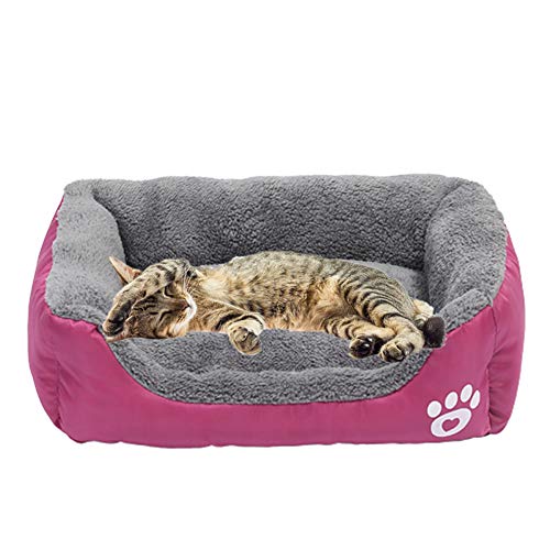 BOENTA hundebetten für mittlere Hunde hundebett waschbar Warmes Hundebett Haustierbetten Für Katzen Hund Schlafsofa Günstige Hundebetten Kleines Katzenbett Rose red,XL von BOENTA