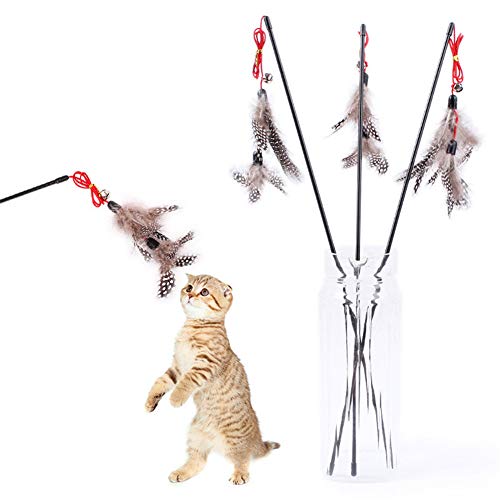 BOENTA katzenspielzeug Set cat Toy Katzen Angelruten Spielzeug Katzenfederspielzeug Katzenspielzeugstock Katzenspielzeug mit Federn Katzen-Teaser c von BOENTA