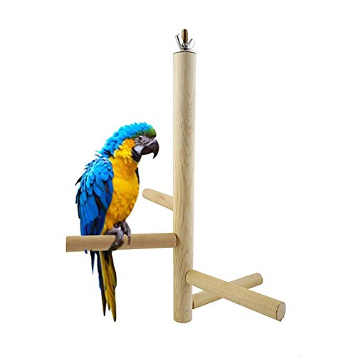 ppactvo Papagei Spielzeug Vogelspielzeug Vogel Barsch Stick Vogel Naturholz StäNder Papagei StäNder Spielzeug NatüRliche Holz AktivitäT Zweige Klettertreppen FüR Conure Sittich Wellensittiche von BOENTA