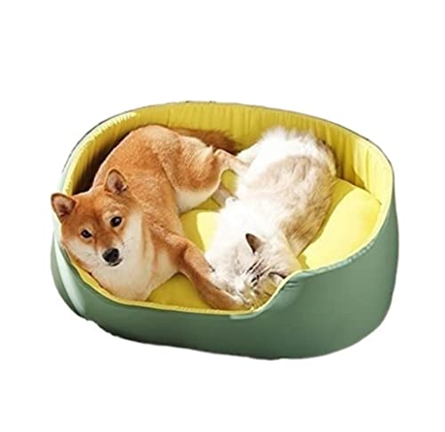 Katzenbett höhle Tierbett Haustierbett 3D Zwinger Indoor Haustierbett Für Hunde Katze Weiche Warme Betten Für Hunde Haustiere Kissen Matte Liege Bank Sofa Hundekissen katzenkissen (Color : Grün, Siz von BOGAZY