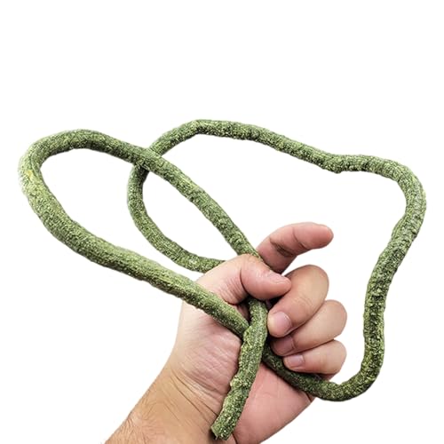 BOGEEL Aquarien Reptilien Kletterrebe Terrarium Pflanze Aquarium Dekoration Terrarium für Amphibien Eidechsen Schlange BOGEEL Aquarien Reptilien Kletterrebe Terrarium Pflanze Aquarium Dekoration Terrarium für Amphibien Eidechsen Schlange von BOGEEL