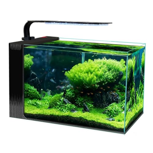 Leises, selbstzirkulierendes Aquarium, superweißes Glas, kleines ökologisches, selbstzirkulierendes Aquarium, seitlich filternde Aquarien 40cm Black von BOLNEY