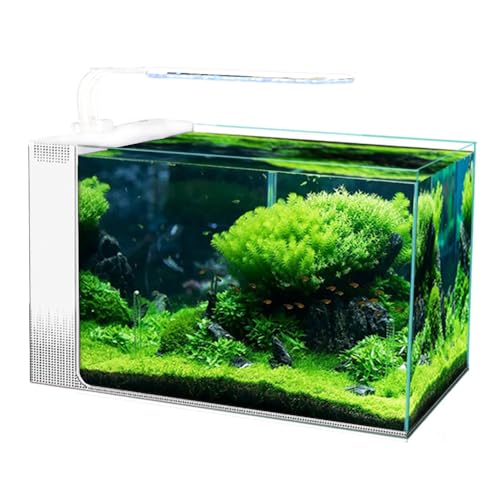 Leises, selbstzirkulierendes Aquarium, superweißes Glas, kleines ökologisches, selbstzirkulierendes Aquarium, seitlich filternde Aquarien 40cm White von BOLNEY