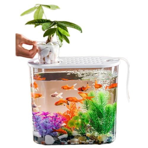 Transparentes Kunststoff-Fischbecken, kleines Goldfischbecken für Zuhause, Aquascape, kleine Fischbecken White von BOLNEY