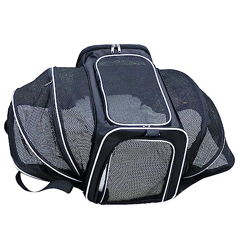 Haustier-Reisetasche, ausziehbarer Mehrzweck-Reise-Träger für Katzen, atmungsaktives Netz, leicht für Reisen (schwarz, weißer Rand) von BOLORAMO