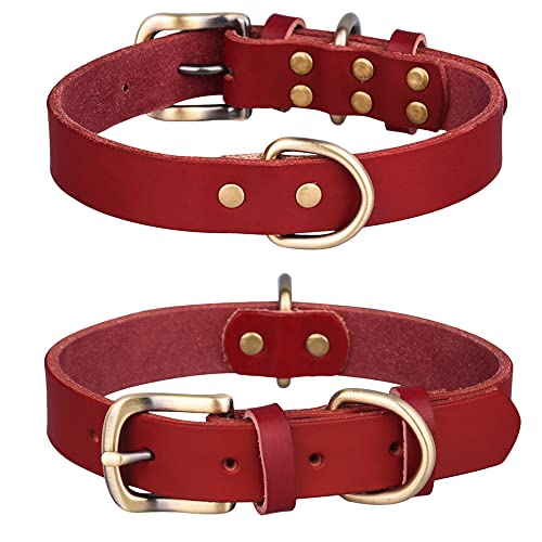 Hundehalsband aus echtem Leder mit personalisierter Gravur Namensschild ID Tag, Welpenhalsband mit 2 D-Ringen für männliche und weibliche Hunde (Rot, L) von BONAWEN