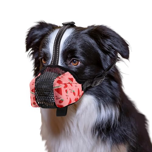 BONTHEE Maulkorb für Hunde,Dog Muzzle,Weiches Maulkorb Hund für kleine,Mittelgroße Hunde mit Atmungsaktives Mesh, Verstellbarer Schlaufe Verhindert Das Beißen, Kauen Und Bellen für vergiftete Köder von BONTHEE