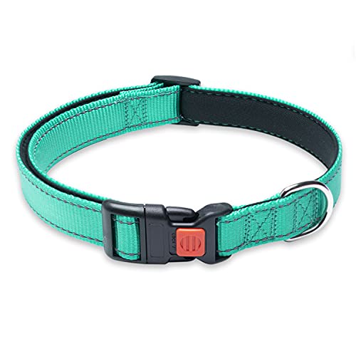 Reflektierendes Hundehalsband mit Schnalle, verstellbar, Sicherheits-Nylon-Halsbänder für kleine, mittelgroße und große Hunde, Größe L, Grün von BOOMIBOO