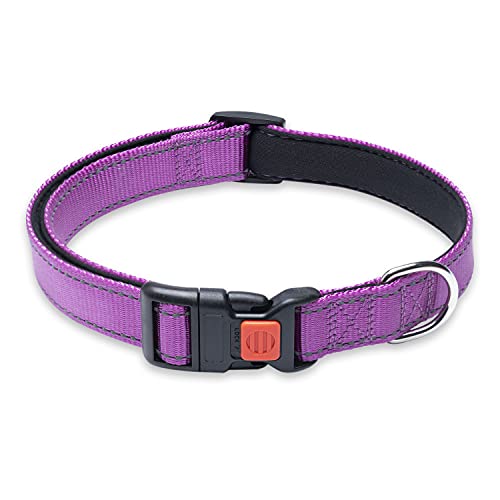 Reflektierendes Hundehalsband mit Schnalle, verstellbar, Sicherheits-Nylon-Halsbänder für kleine, mittelgroße und große Hunde, Größe L, Violett von BOOMIBOO