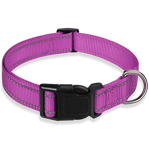 Reflektierendes Hundehalsband mit Schnalle, verstellbare Sicherheits-Nylon-Halsbänder für kleine, mittelgroße und große Hunde, Lila XXS von BOOMIBOO