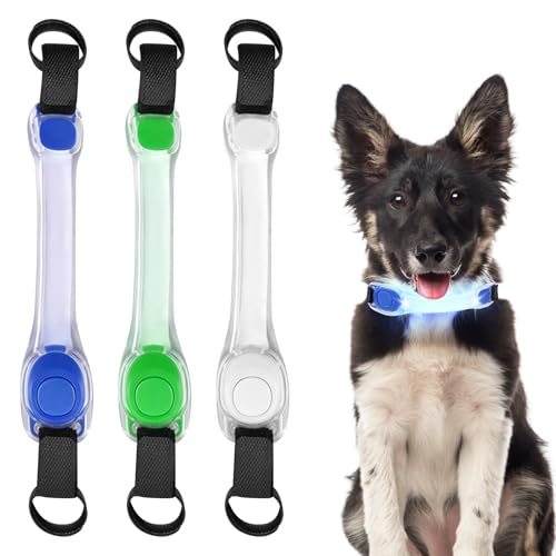 BORDEAG 3 Stück Leuchthalsband Hunde, Hundehalsband Leuchtend, Sicherheits Led Leuchtband Für Hunde Katzen, Wasserdichtes, 3 Beleuchtungsmodi, Einfach An Halsband Leine Und Geschirr Zu Befestigen von BORDEAG