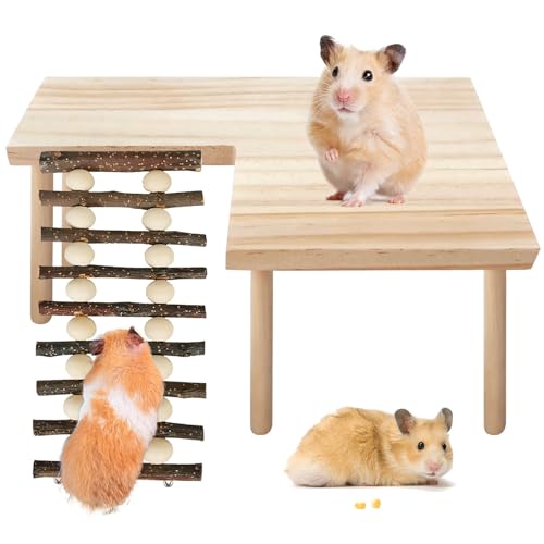 BORDEAG Hamster Spielzeug, Hamster-Kletterleiter, Hamster Leiter, Hamster Klettern Spielzeug, Holz-Kletterspielzeug, Hamsterhaus Aus Holz, Für Rennmaus, Meerschweinchen, Mäuse, Ratten von BORDEAG