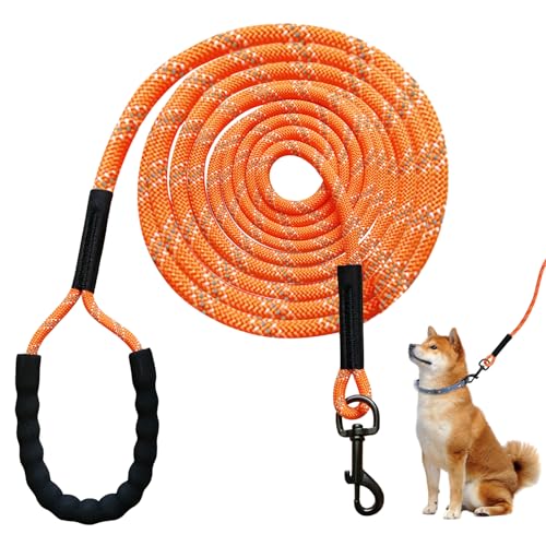 Bordeag Schleppleine Für Hunde, 10 M Hundeleine Trainingsleine Reflektierende Laufleine Ausbildungsleine Schleppleine Mit Weich Gepolsterter Griff, Haken, Freihandleinen Joggingleine Für Hunde Orange von BORDEAG