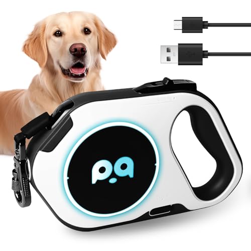 Einziehbare Hundeleine, 5M Rollleine Hundeleine, Leine Hund mit LED Hundeleine, 360° Drehbare Leine Hundeleine Einziehbar, Anti Rutsch Griff, Für Kleine Und Mittelgroße Hunde, Nachtspaziergänge von BORDEAG