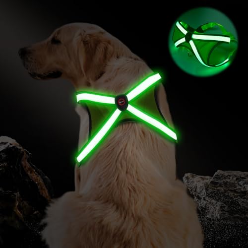 Hundegeschirr Leuchtend, LED Hundegeschirr, Hundegeschirr Leuchtend Aufladbar, Leuchtgeschirr für Hunde Aufladbar, LED Hundegeschirr Leuchtend für Klein Mittelgroße Große Hunde (Grün, M) von BORDEAG