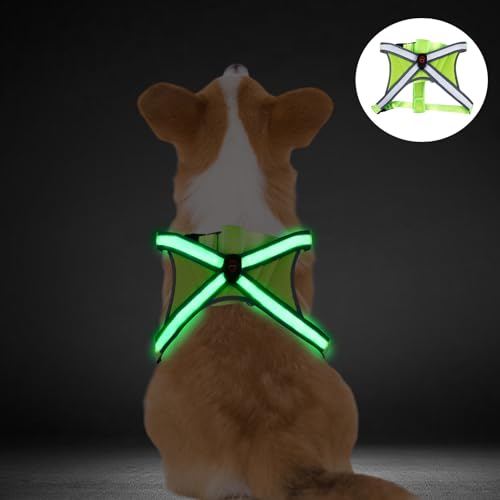 Hundegeschirr Leuchtend, USB Wiederaufladbares Einstellbares LED Hundegeschirr, Leichtgewicht Hundegeschirr Leuchtend Atmungsaktive, Anti Zug Hundegeschirr für Nachtspaziergänge Sicherheitsweste von BORDEAG