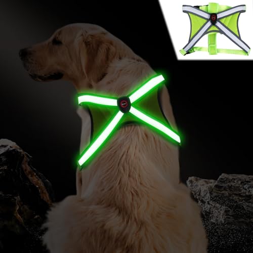 Hundegeschirr Leuchtend LED, Reflektierendes Leuchtendes Hundegeschirr, Aufladbar LED Hundegeschirr, Verstellbar Hundegeschirr, Atmungsaktiv Hundegeschirre, für Klein, Mittlere Hunde von BORDEAG