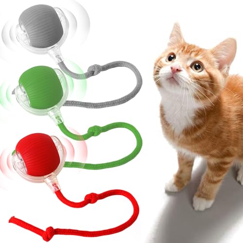 Interaktiver Spielball für Katzen: 3 Stück Interaktives Katzenball Spielzeug, Katzenspielzeug Elektrisch Katzenball mit USB Aufladbar, Interaktiver Ball Katze, 3 Arbeitsmodi, 360° Automatic Rolling von BORDEAG