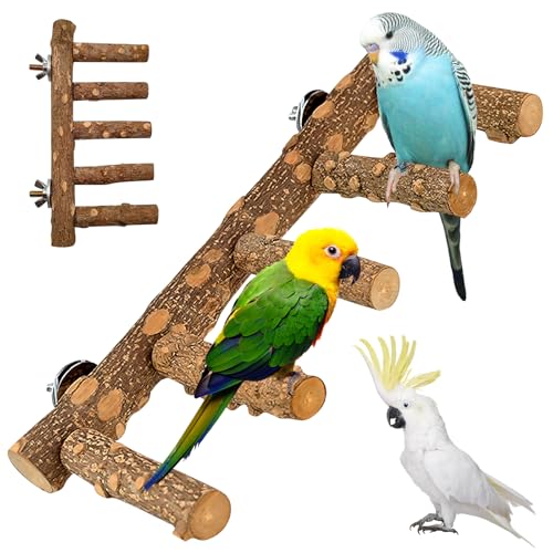 Natur Sitzstangen für Vögel, Sitzstangen Vögel Spielzeug Holzleiter, Natur Sitzstangen Set für Vögel, Natürlicher Sitzstangen für Vögel Holz für Kanarienvogel, Wellensittiche, Liebesvögel, 11×31 cm von BORDEAG