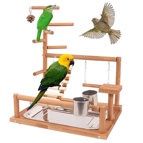 Parrot Playstand, Vögel Spielplatz, Wellensittich Spielzeug Vögel Spielplatz Papagei Spielplatz Papagei Vogelspielplatz Papageien-Spielständer Für Papageien, Finken, Nymphensittiche, Wellensittiche Parrot Playstand, Vögel Spielplatz, Wellensittich Spielzeug Vögel Spielplatz Papagei Spielplatz Papagei Vogelspielplatz Papageien-Spielständer Für Papageien, Finken, Nymphensittiche, Wellensittiche von BORDEAG