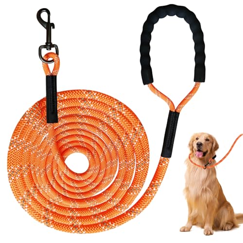 Schleppleine für Hunde 10 Meter, Robuste Hundeleine Lang, Übungsleine mit Weich Gepolsterter Griff, Reflektierend, Trainingsleine Laufleine für Große & Kleine Hunde (Orange) von BORDEAG