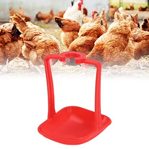 BORDSTRACT Automatische Bewässerungsbecher für Huhn, rostfrei, helle Farbe, Huhn-Trinkbecher, Huhn, Wasserbrunnen, Geflügel, Wassernippel für Bauernhof, Trinkwasser, Werkzeug (rot) von BORDSTRACT