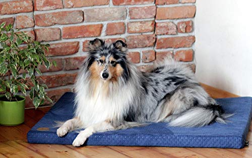 BORN2REST Bettmatte Matratze für Hunde und Katze waschbar Bunte Hundematte Hundekissen Matten Demi-Matratze Hundsofa S-XL (Dunkelblau, L (85 x 70 x 5cm)) von BORN2REST