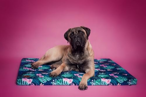 BORN2REST Bettmatte Matratze für Hunde und Katze waschbar Bunte Hundematte Hundekissen Matten Demi-Matratze Hundsofa S-XL (Tropic, L (85 x 70 x 5cm)) von BORN2REST