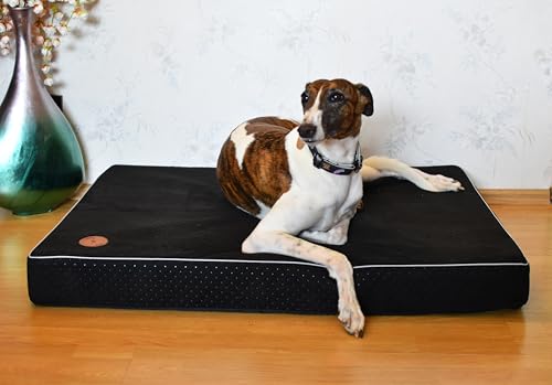 BORN2REST Bettmatte Orthopädische Matratze für Hunde und Katze waschbar Bunte Hundematratze Reißverschluss Matten Hector Visco-Matratze Hundsofa M-XL (Schwarz, L 85 x 70 x 10 cm) von BORN2REST