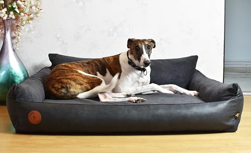 BORN2REST Orthopädisches Hundebett Rocky Visco-Matratze Hundsofa L-XXL für große Hunde maschinenwaschbar Europäischen Union hergestellt (Kohle, M 83 x 73 cm) von BORN2REST